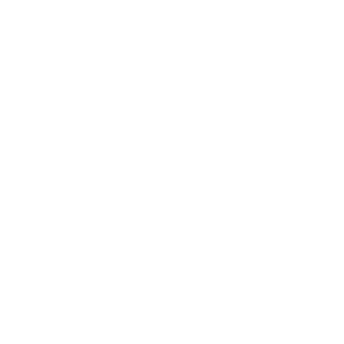 B-NETWORK